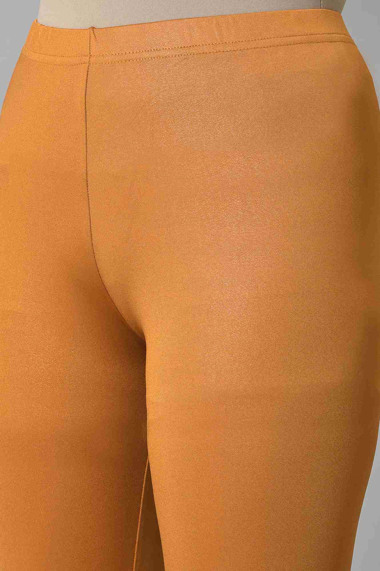 Brown Poly Lycra Tights